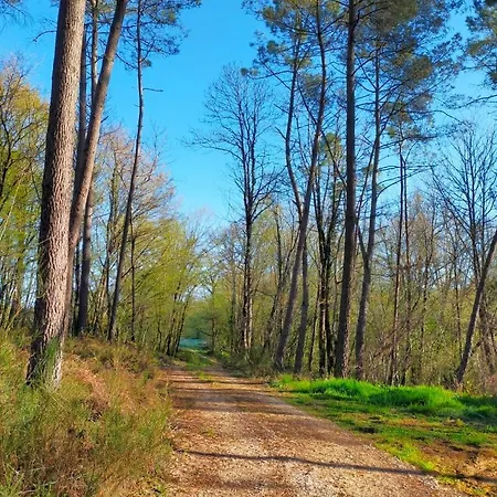 Le Logis De Feydoux Σπίτι διακοπών Saint-Pierre-de-Côle